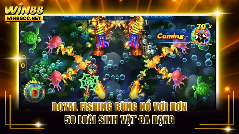 Royal Fishing bùng nổ với hơn 50 loài sinh vật đa dạng